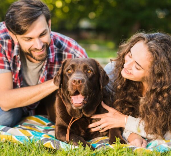 ¿Por qué los perros son excelentes para la salud?